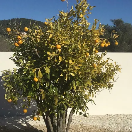 Casita In With Garden And Pool - Dog Friendly! Javea